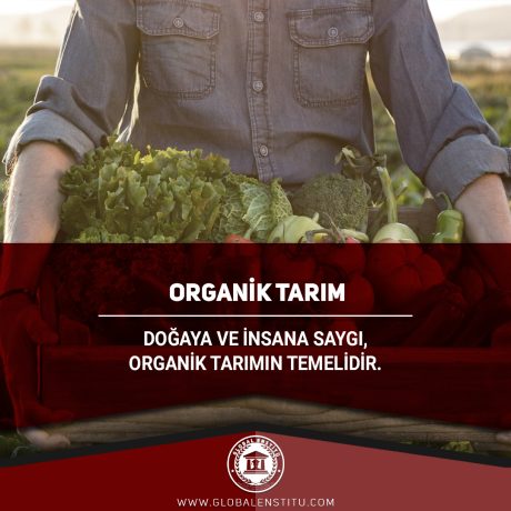 Organik Tarım